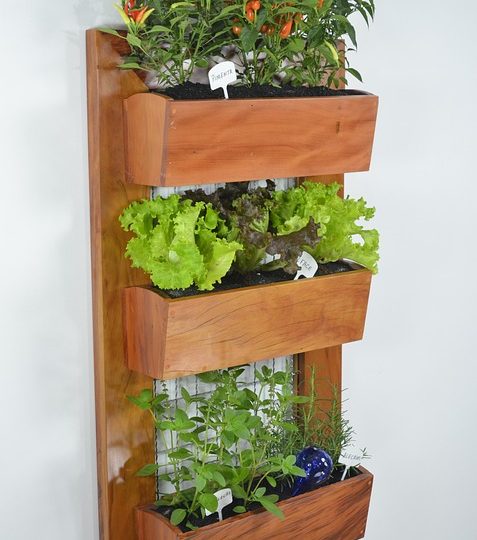 Pořiďte si vertikální zahradu