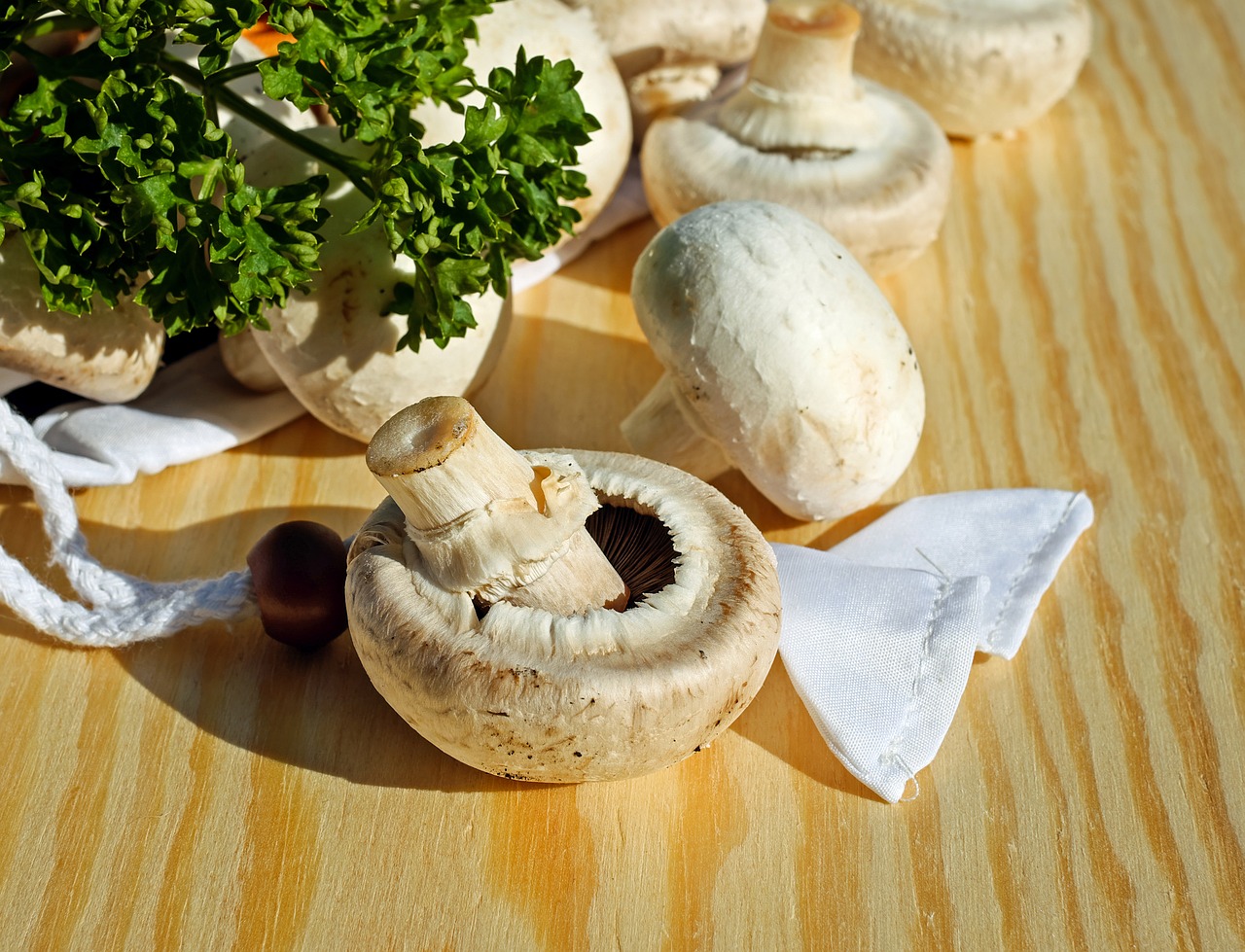 Jak spařit houby?