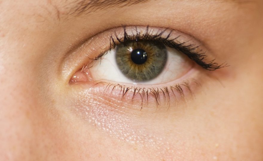 Make Lash – recenze, diskuze, zkušenosti