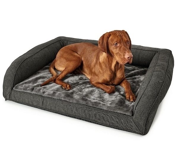 Jak předcházet nemocím pohybového aparátu u psů