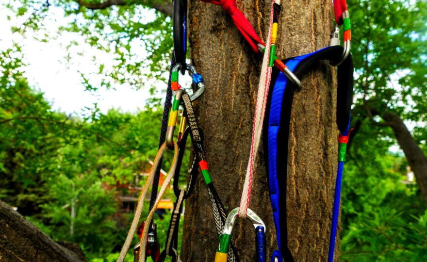 Výbava pro začínající stromolezce