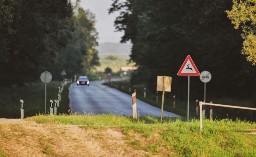 Srážka se zvěří není výjimečná. Na co si dát pozor a jak postupovat po nehodě