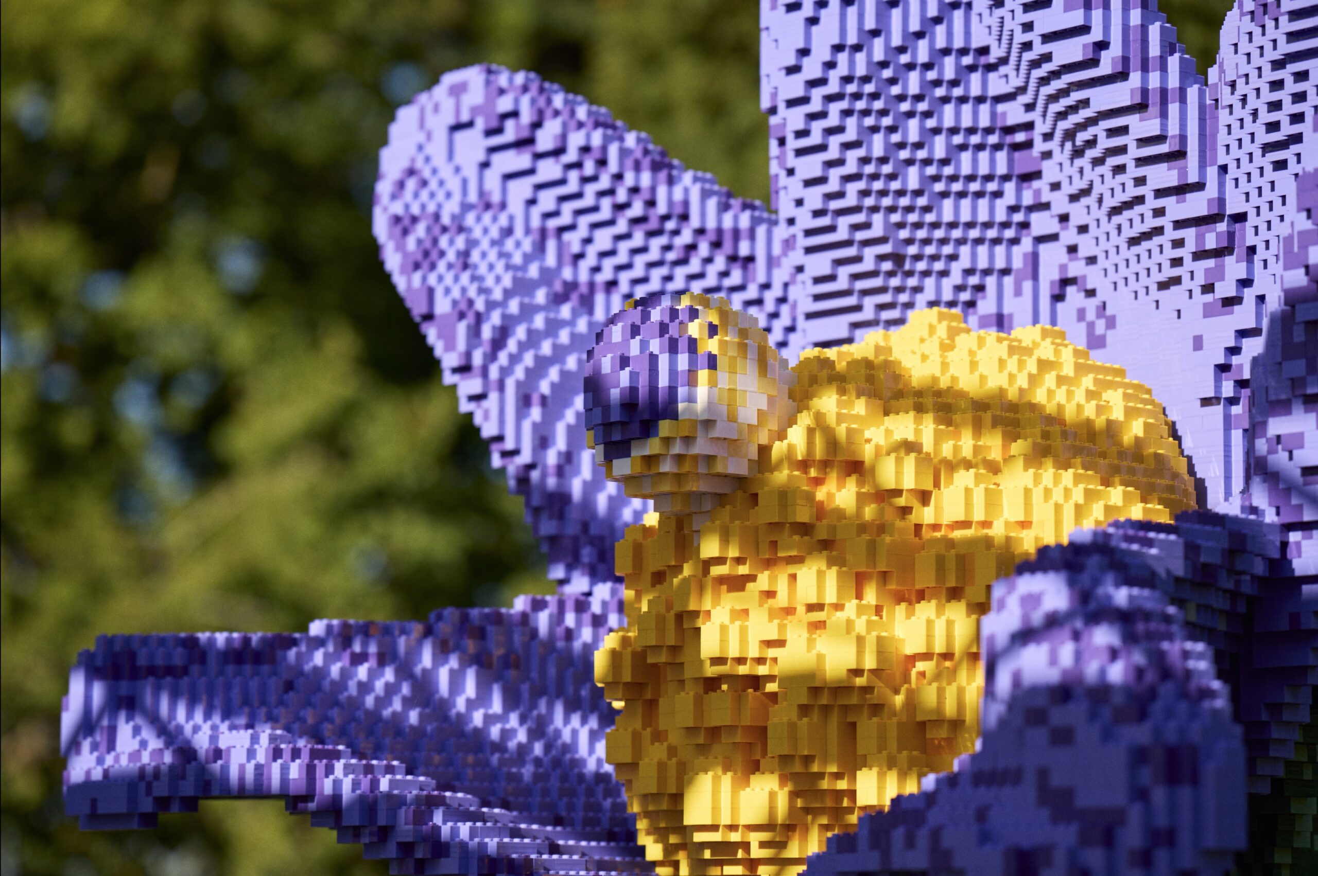 Detail fialových okvětních lístků a žlutého středu koniklece z kostek LEGO
